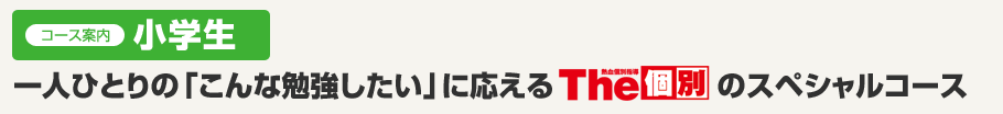 コース案内小学生一人ひとりの「こんな勉強したい」に応えるThe 個別のスペシャルコース