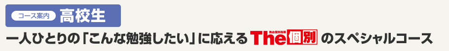 コース案内高校生一人ひとりの「こんな勉強したい」に応えるThe個別のスペシャルコース