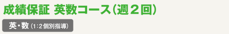 成績保証 英数コース(週2回)英・数(1:2個別指導)