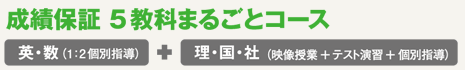 成績保証 5教科まるごとコース 英・数(1:2個別指導)+理・国・社(映像授業+テスト演習+個別指導)