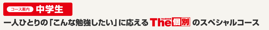 コース案内中学生 一人ひとりの「こんな勉強したい」に応えるThe個別のスペシャルコース